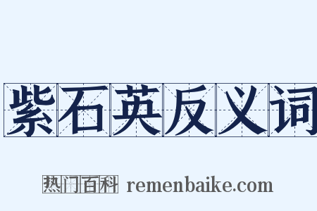 紫石英反义词是什么意思的图片